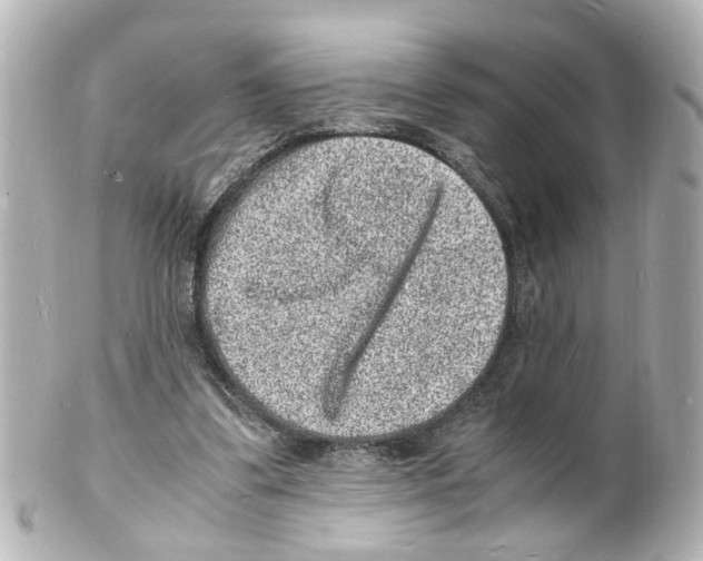 X0000101480299200808041134