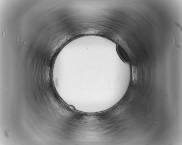 X0000101480300200808041134