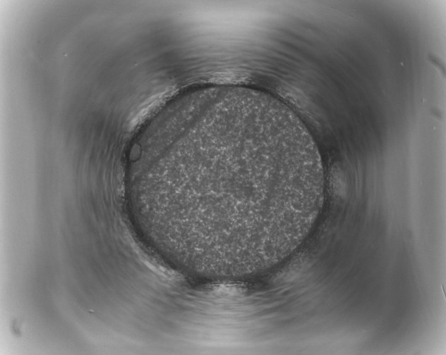 X0000101480303200808041134