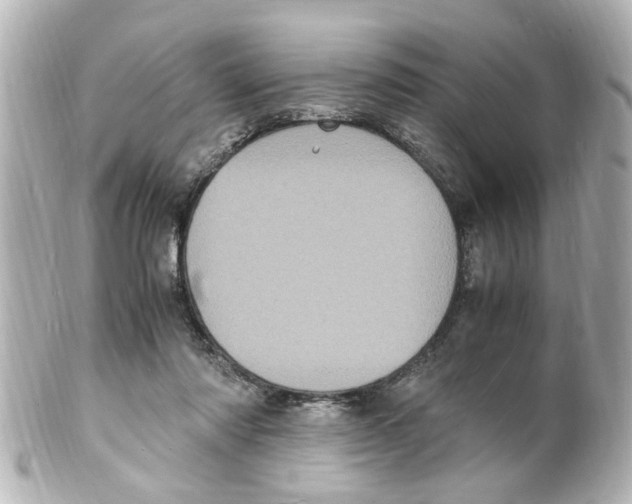 X0000101480310200808041134