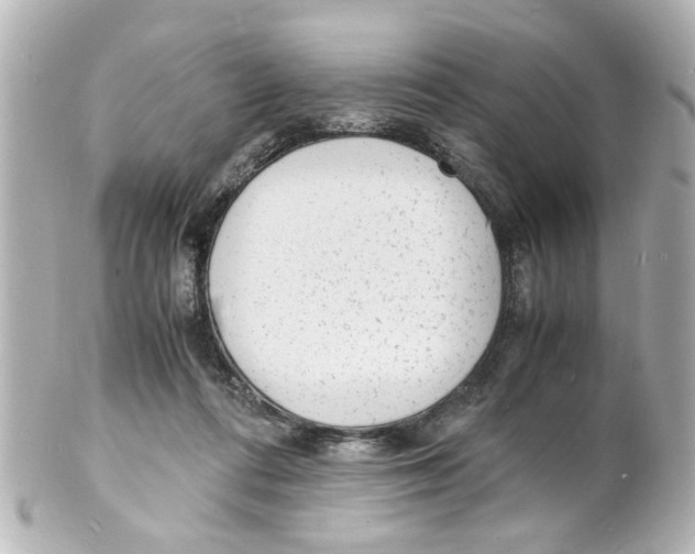 X0000101480312200808041134