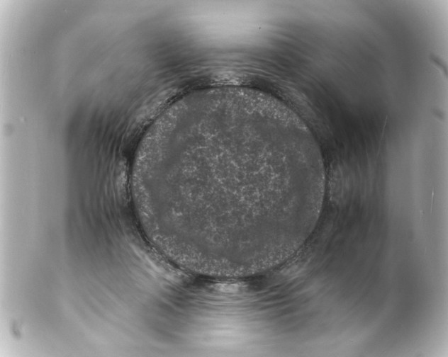 X0000101480314200808041134