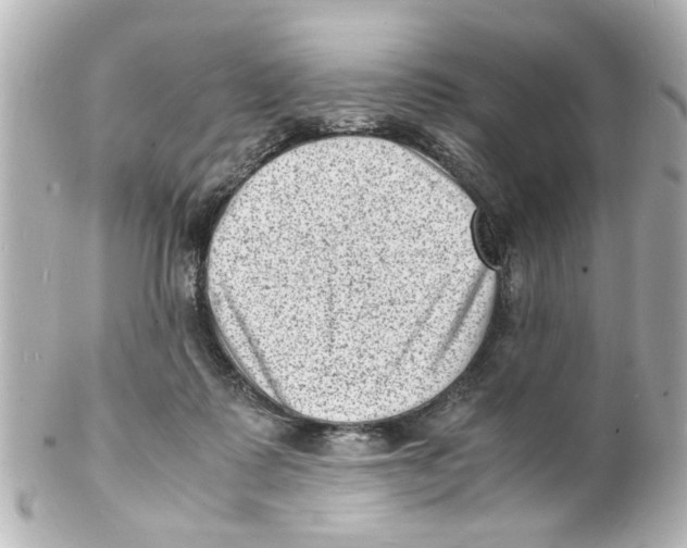 X0000101480315200808041134