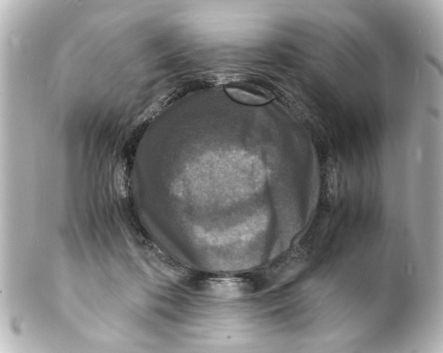 X0000101480316200808041134