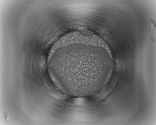 X0000101480320200808041134