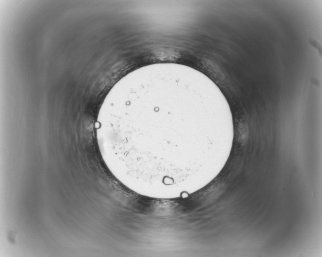 X0000101480321200808041134