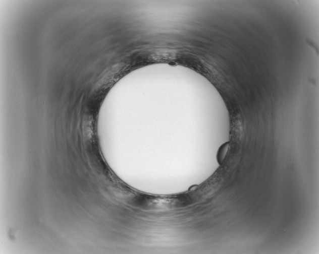 X0000101480323200808041134