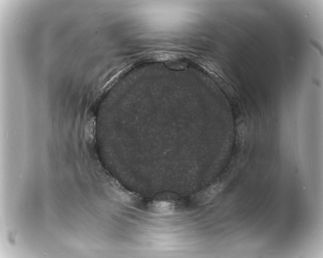 X0000101480325200808041134