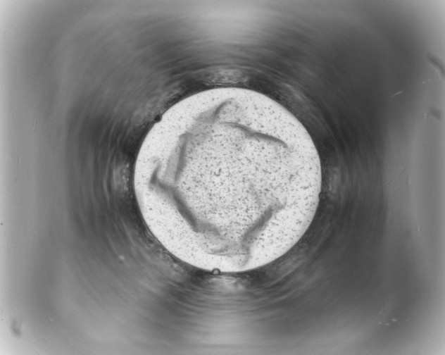 X0000101480326200808041134