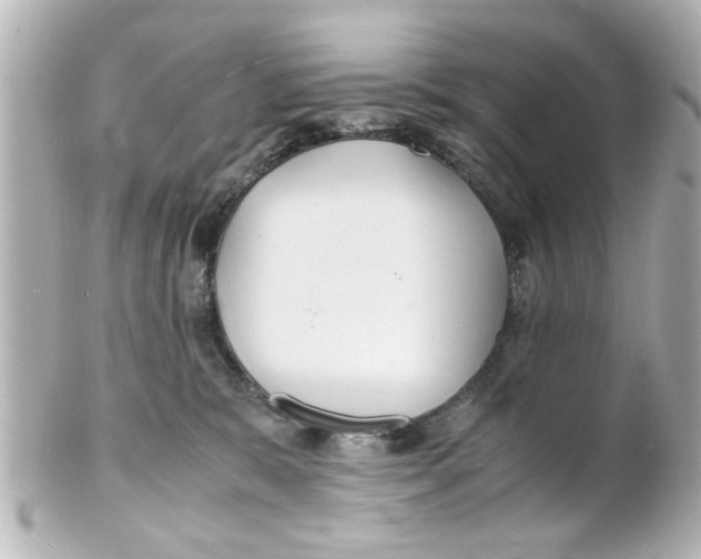 X0000101480327200808041134