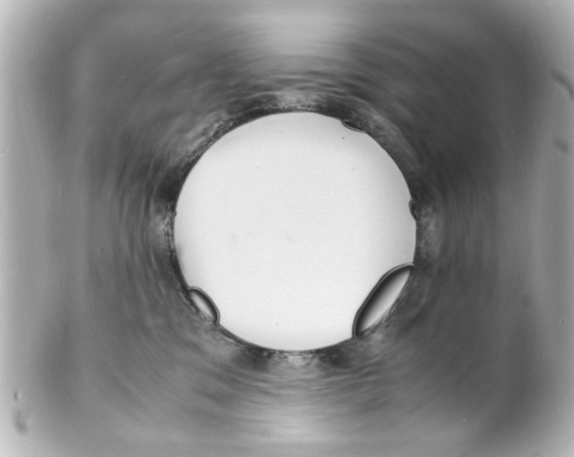 X0000101480329200808041134