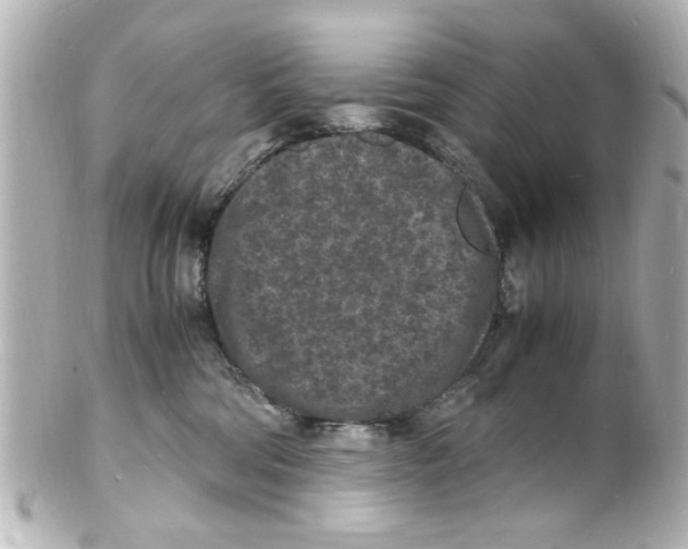 X0000101480330200808041134