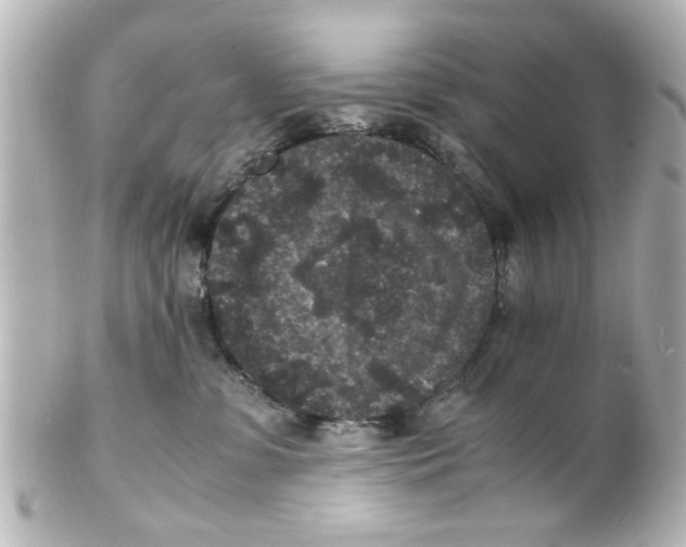 X0000101480331200808041134