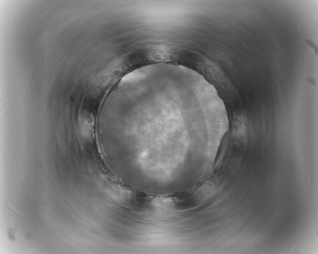 X0000101480332200808041134