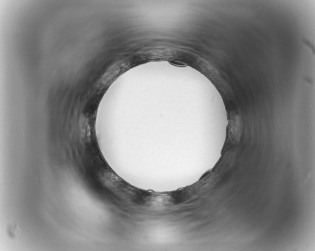 X0000101480333200808041134