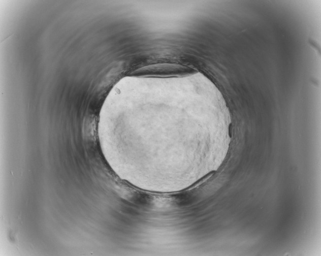 X0000101480336200808041134