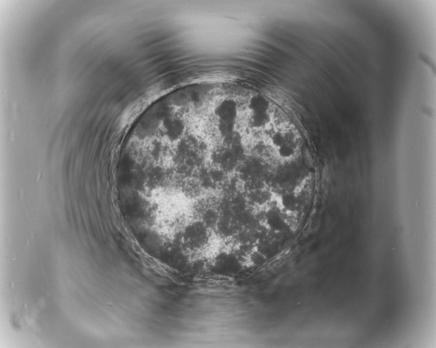 X0000101480337200808041133