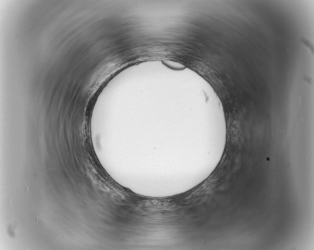 X0000101480338200808041133