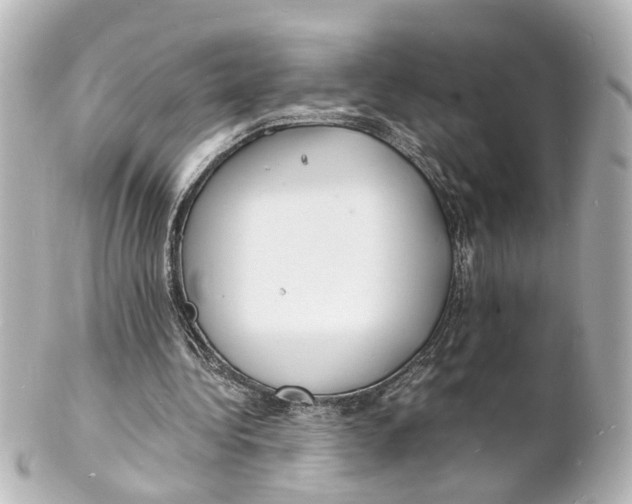 X0000101480340200808041133