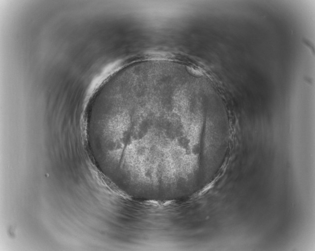 X0000101480343200808041133