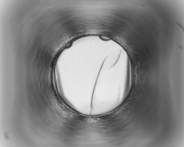 X0000101480346200808041133