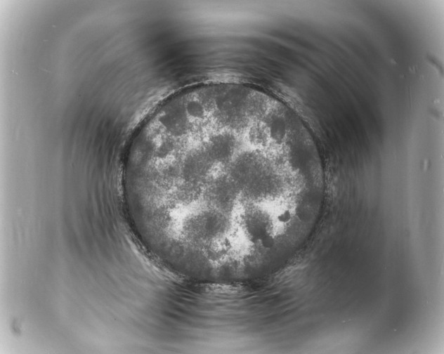 X0000101480347200808041133