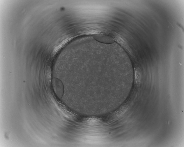 X0000101480348200808041133