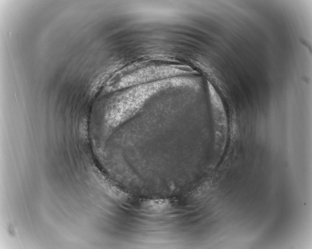 X0000101480353200808041133