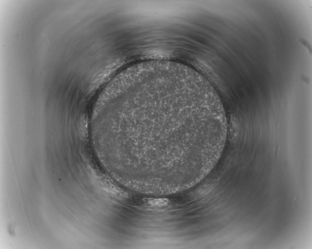 X0000101480355200808041133