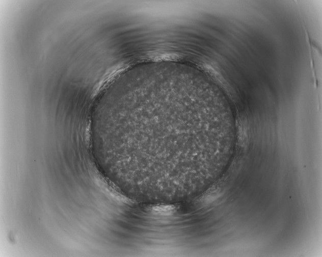 X0000101480357200808041133