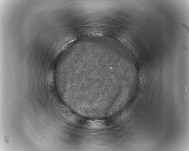 X0000101480359200808041133