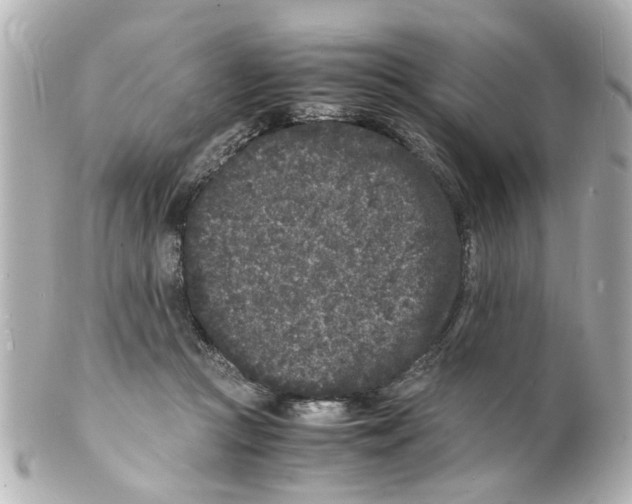 X0000101480361200808041133