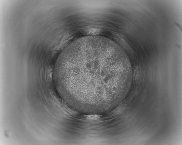 X0000101480363200808041133