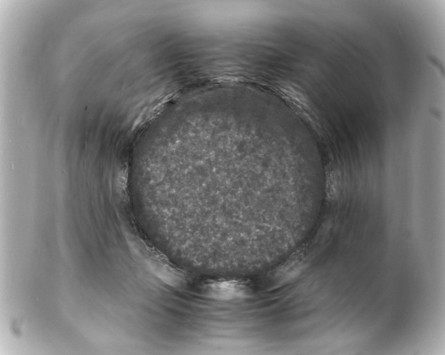 X0000101480365200808041133