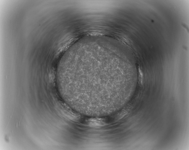 X0000101480367200808041133