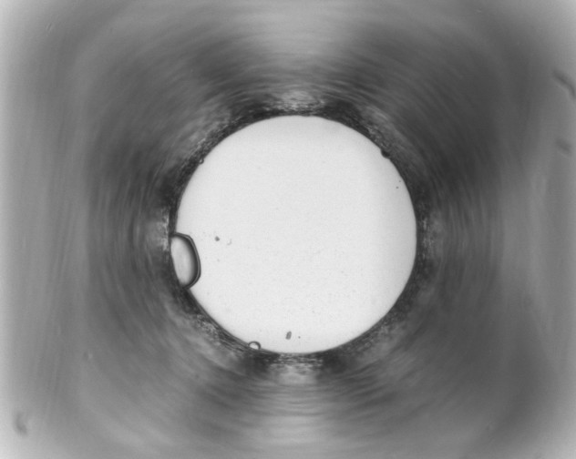 X0000101480368200808041133