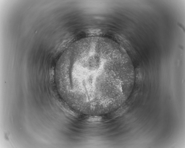 X0000101480369200808041133