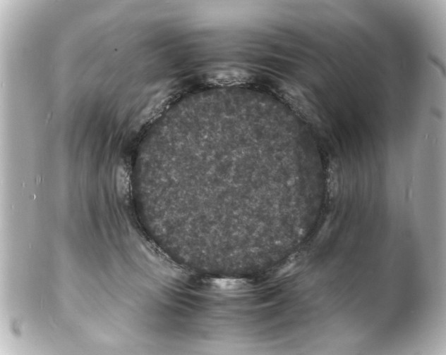 X0000101480371200808041134