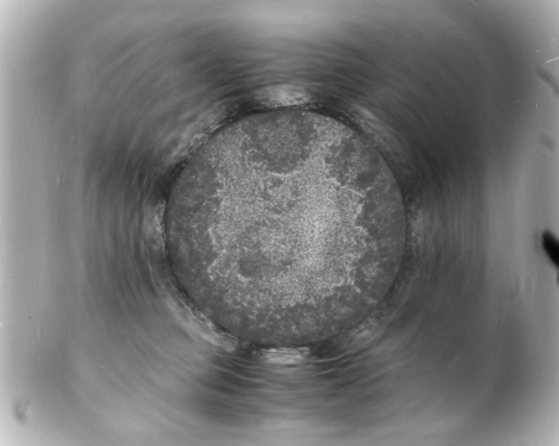 X0000101480373200808041134