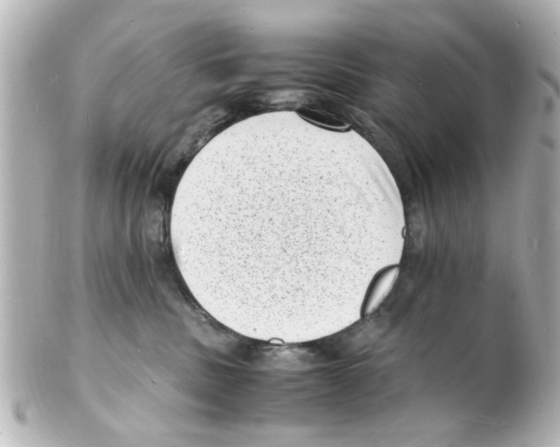 X0000101480379200808041134