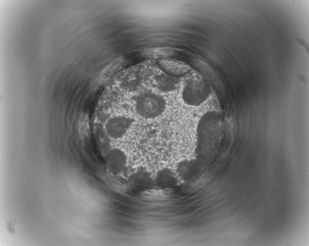 X0000101480381200808041134