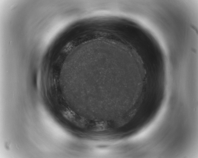 X0000101480382200808041134