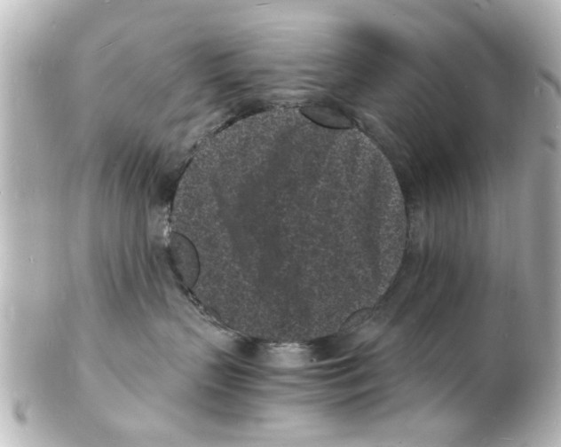 X0000101480383200808041134