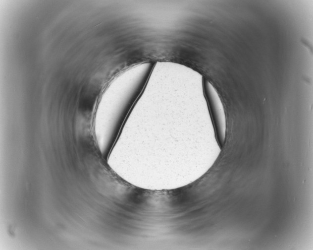 X0000101480384200808041134