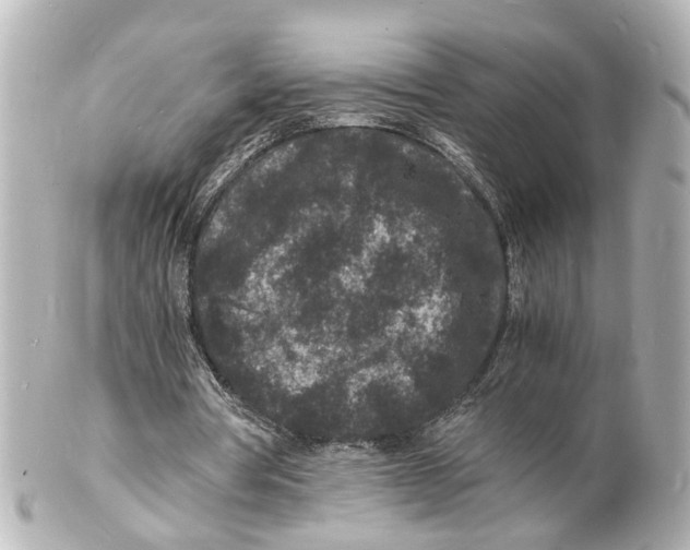 X0000101480386200808041133