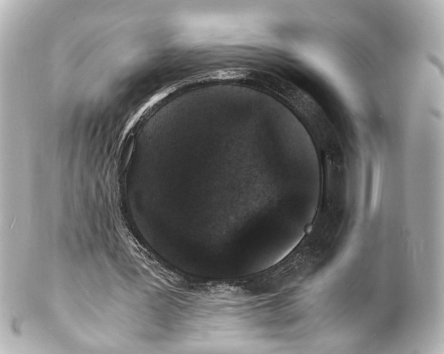 X0000101480387200808041133