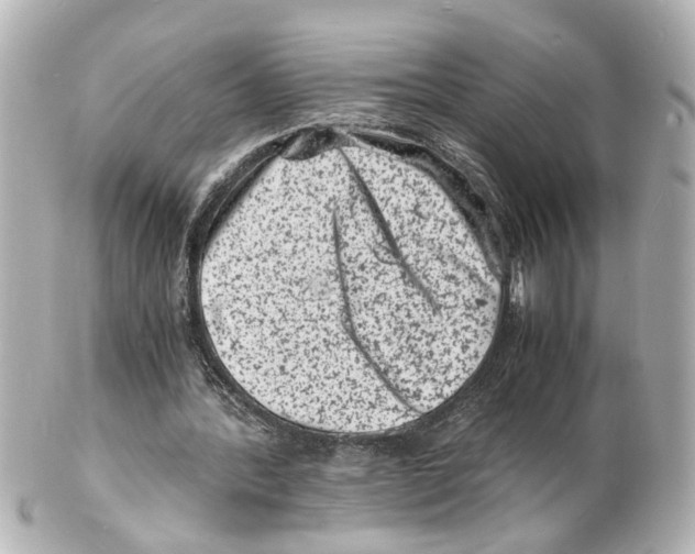 X0000101480388200808041133