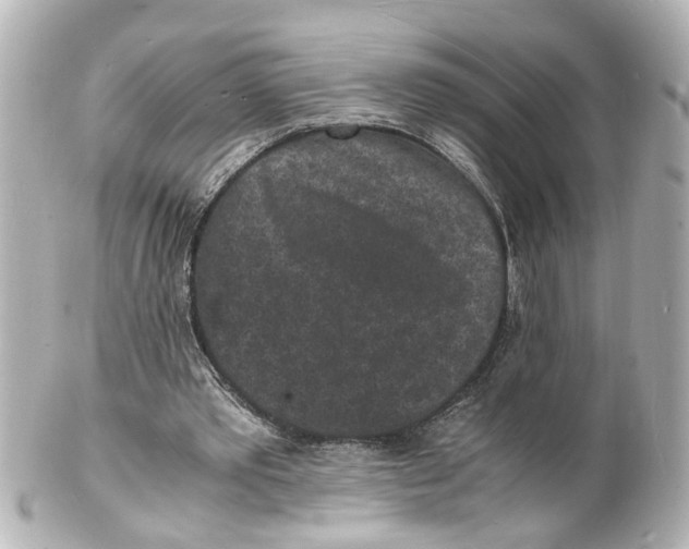 X0000101480389200808041133