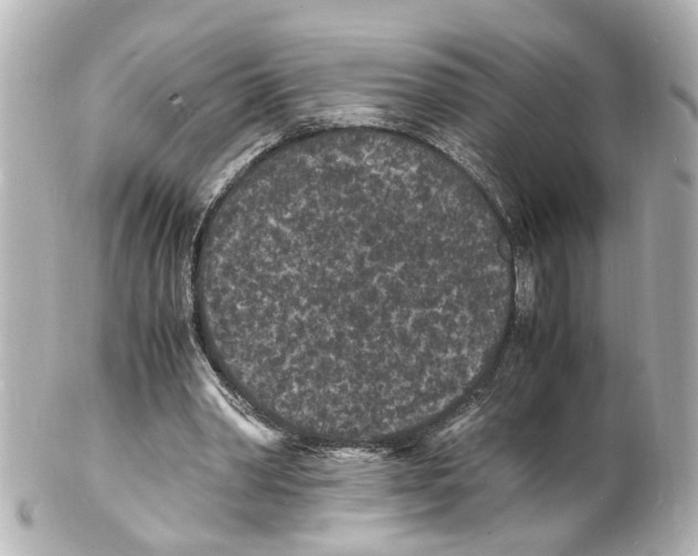 X0000101480390200808041133