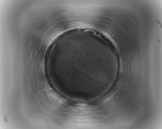 X0000101480391200808041133